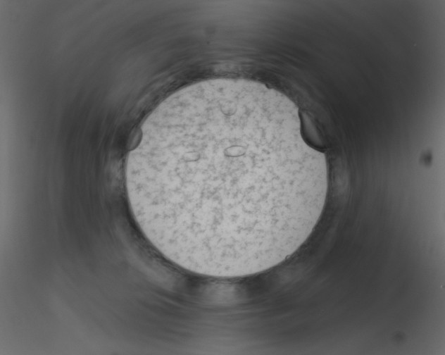 X0000115770276200912241756