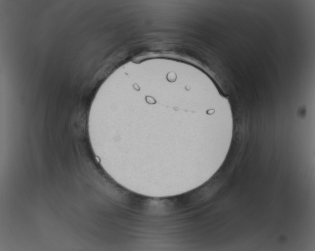 X0000115770277200912241756
