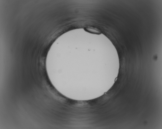 X0000115770278200912241756