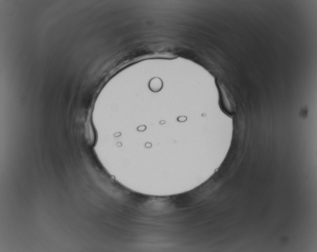 X0000115770280200912241756