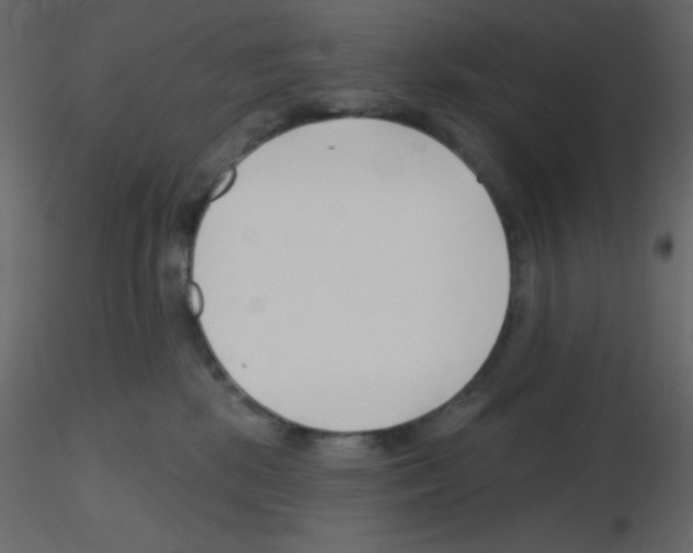 X0000115770281200912241756