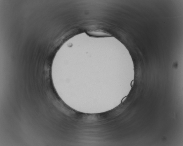 X0000115770282200912241756