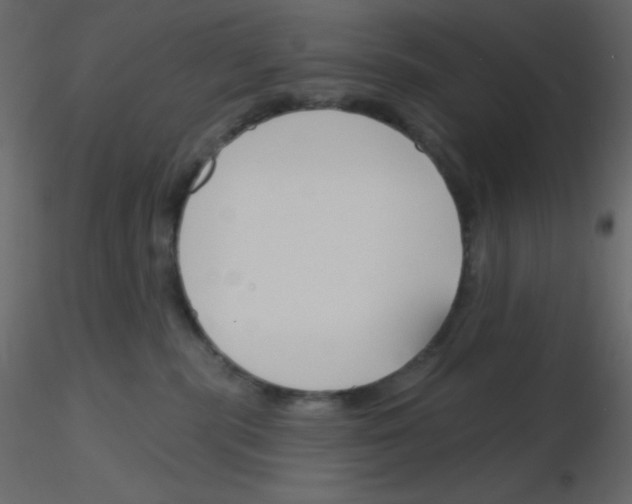 X0000115770283200912241756