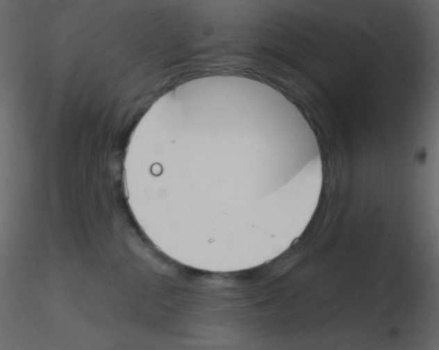 X0000115770284200912241756