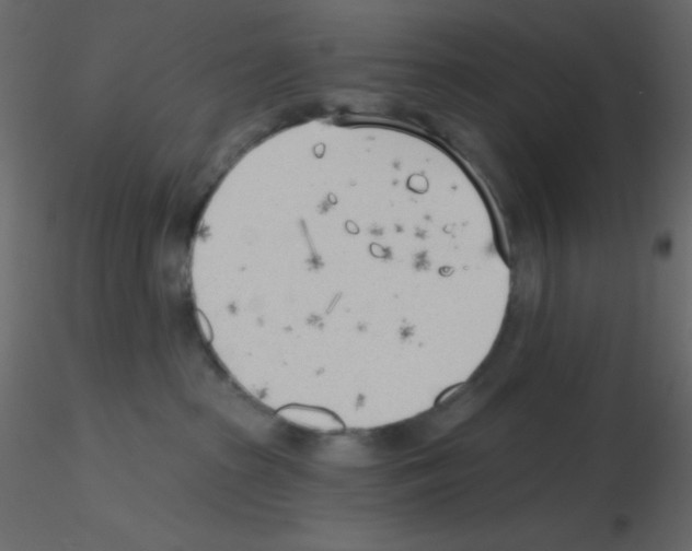 X0000115770285200912241756
