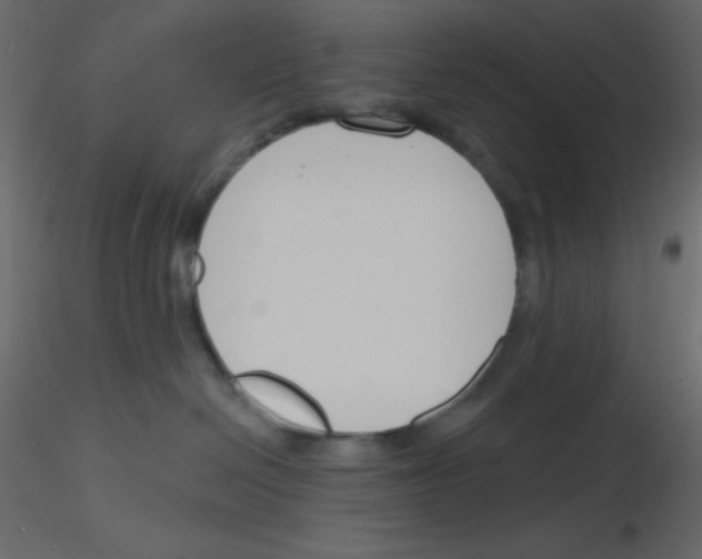 X0000115770286200912241756