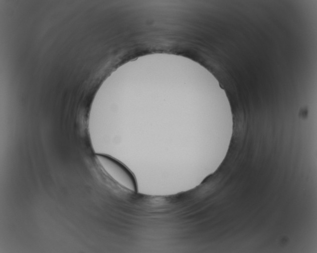X0000115770287200912241756