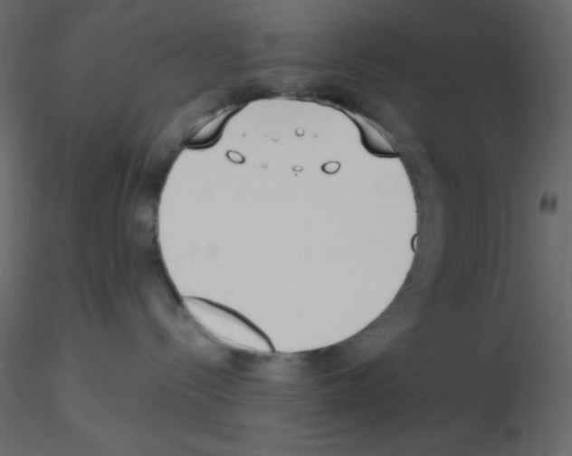 X0000115770288200912241756