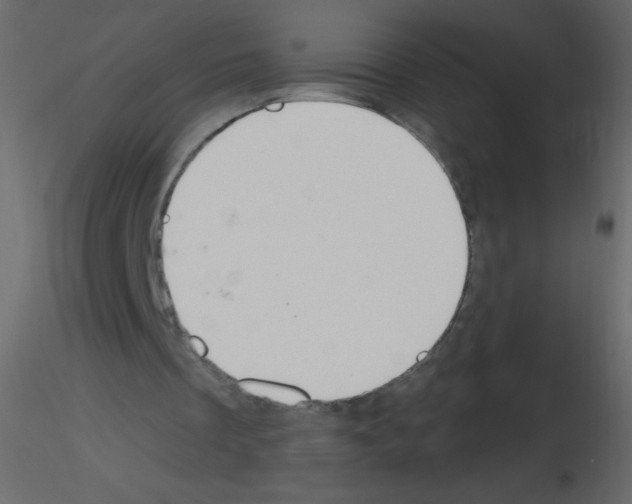 X0000115770289200912241755
