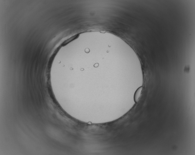 X0000115770290200912241755