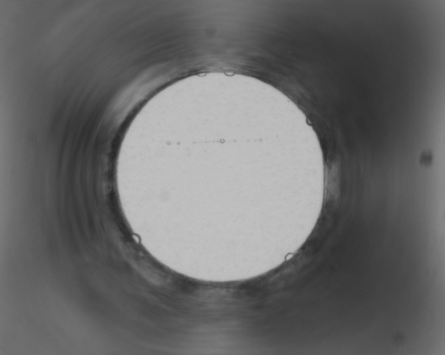 X0000115770291200912241755