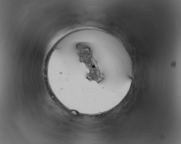 X0000115770292200912241755