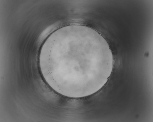 X0000115770293200912241755