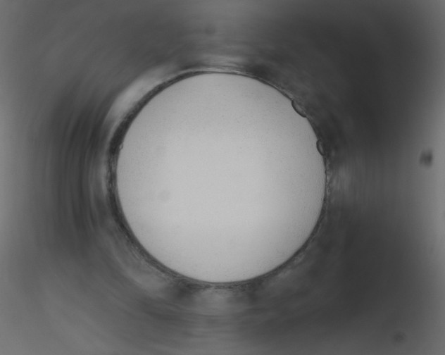 X0000115770294200912241755