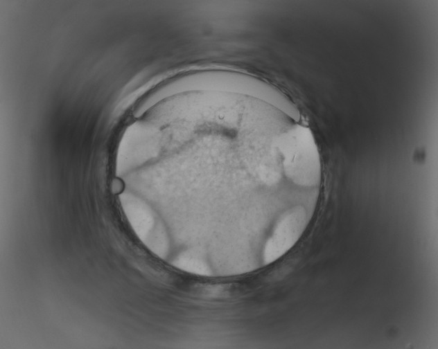 X0000115770295200912241755
