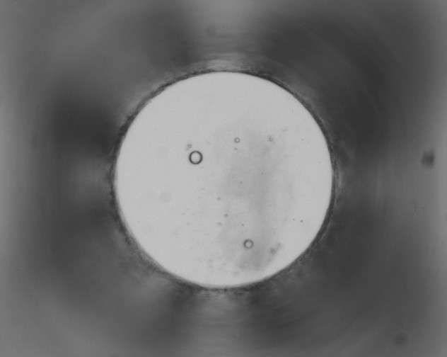 X0000115770297200912241755