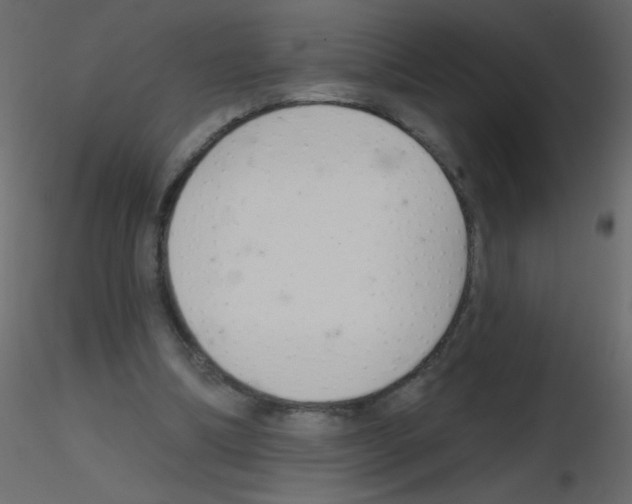 X0000115770298200912241755