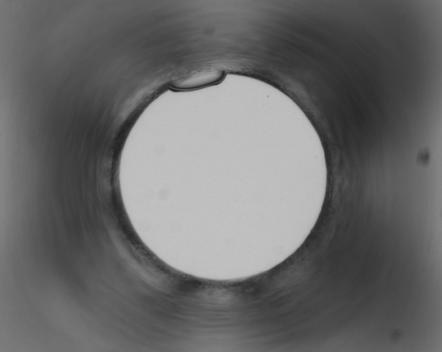 X0000115770299200912241755