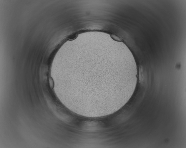 X0000115770300200912241755