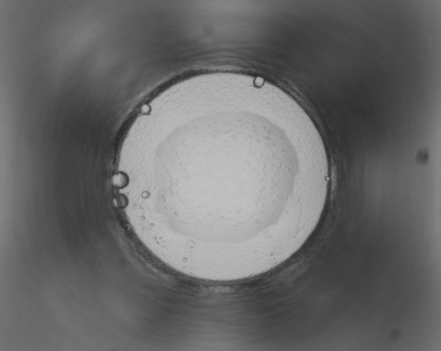 X0000115770301200912241755
