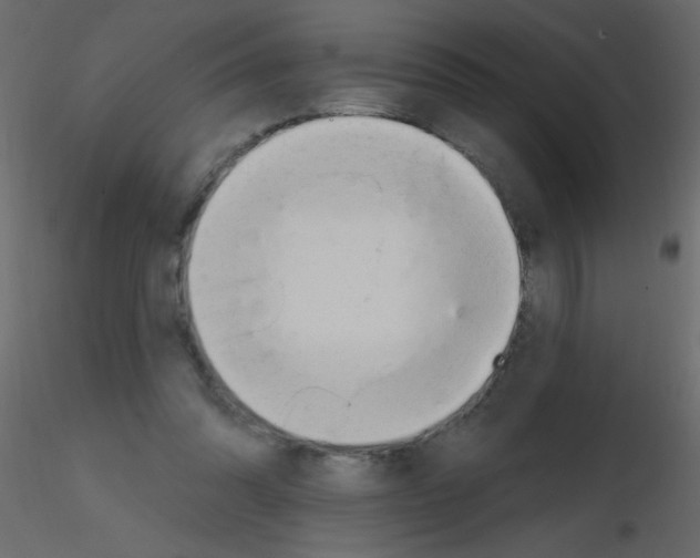 X0000115770302200912241755