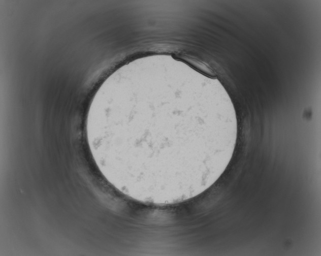 X0000115770303200912241755