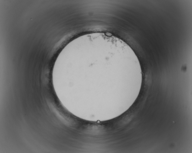 X0000115770304200912241755
