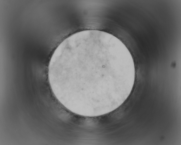 X0000115770305200912241755