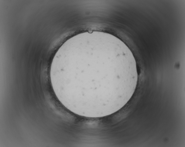 X0000115770306200912241755
