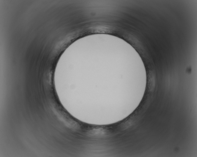 X0000115770310200912241755
