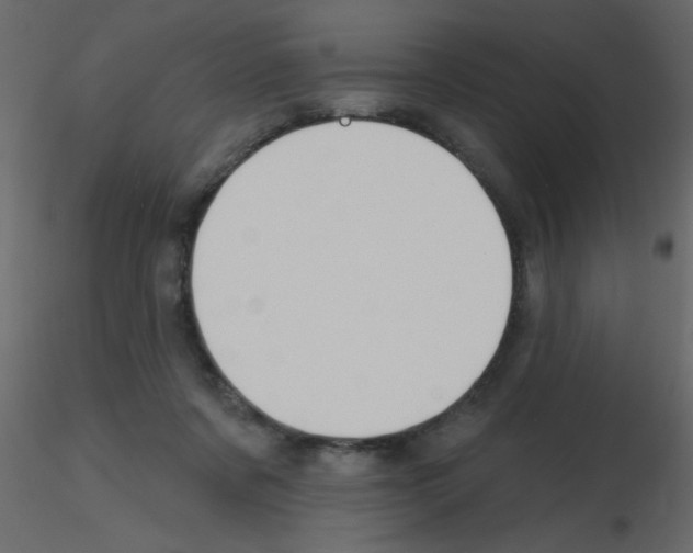 X0000115770311200912241755