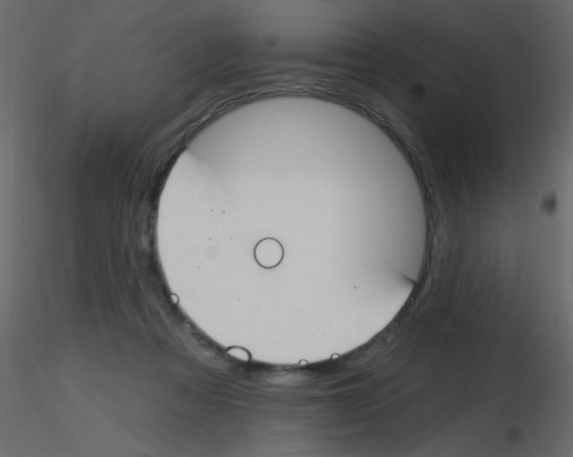 X0000115770313200912241755