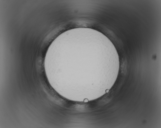 X0000115770314200912241755