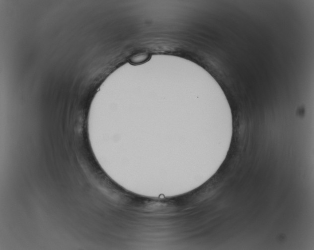 X0000115770315200912241755