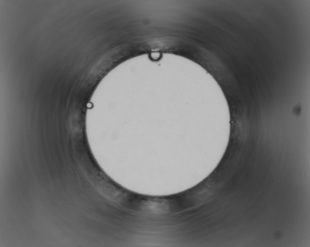 X0000115770317200912241755
