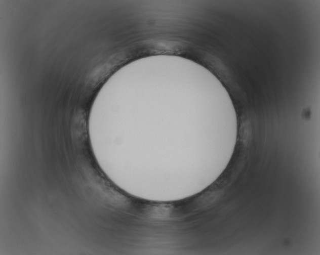 X0000115770318200912241755