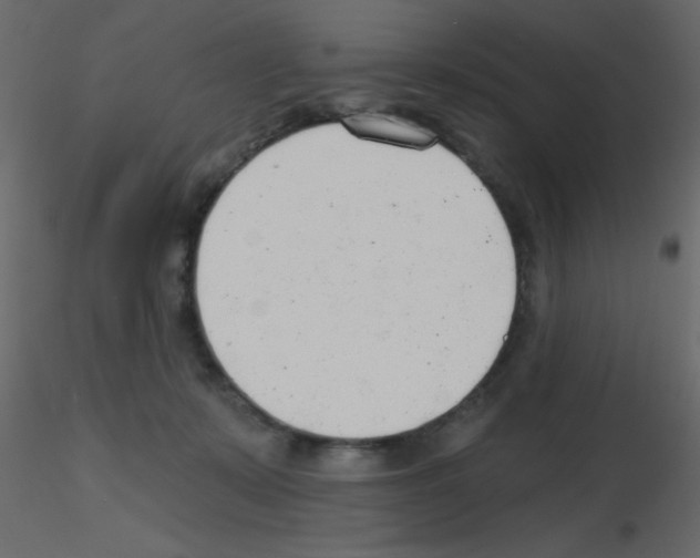 X0000115770319200912241755