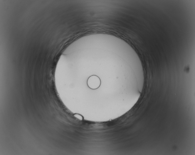 X0000115770320200912241755