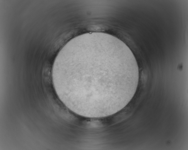 X0000115770322200912241755