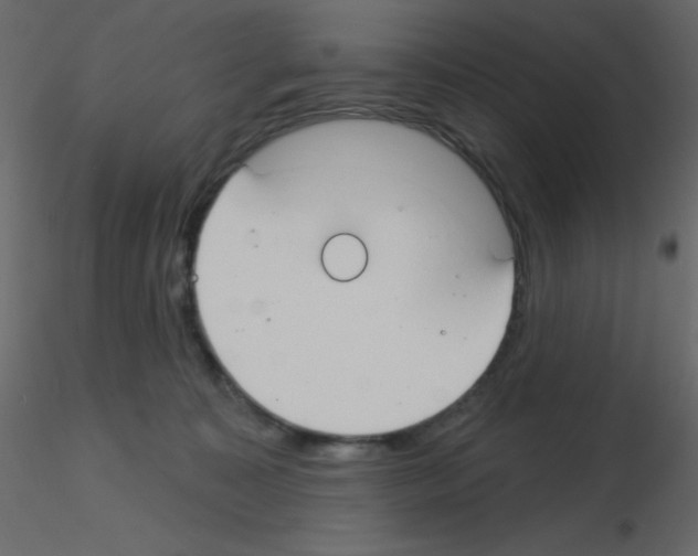 X0000115770323200912241755