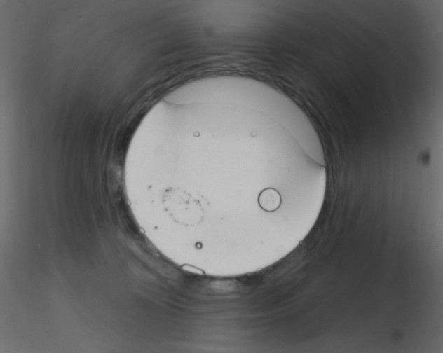 X0000115770324200912241755