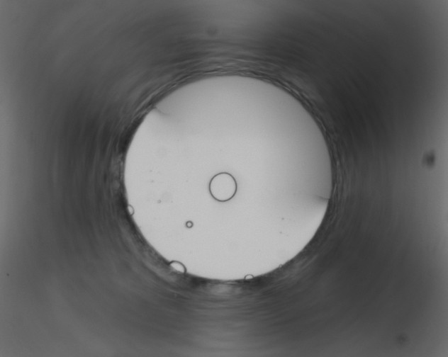 X0000115770325200912241755