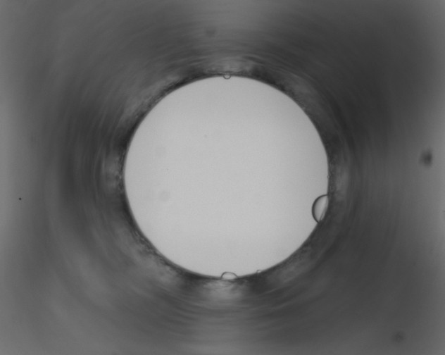 X0000115770326200912241755