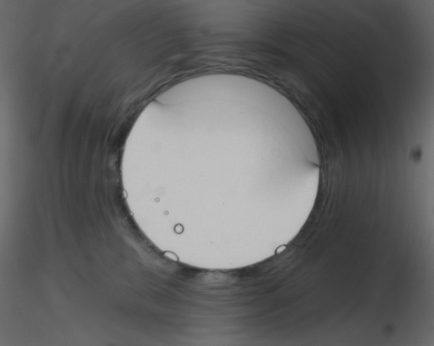X0000115770327200912241755