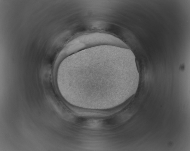 X0000115770328200912241755