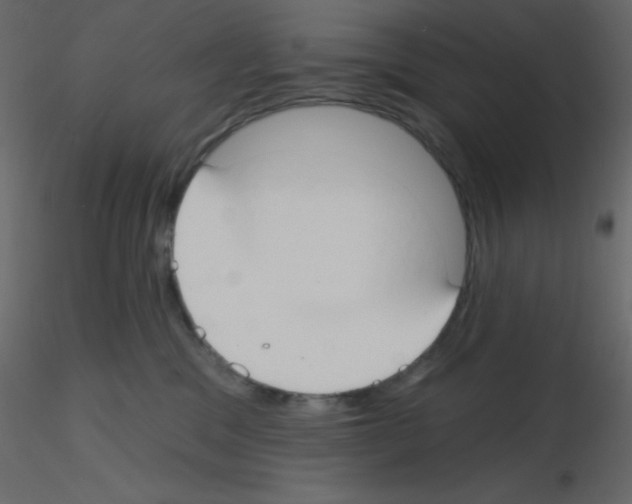 X0000115770329200912241755
