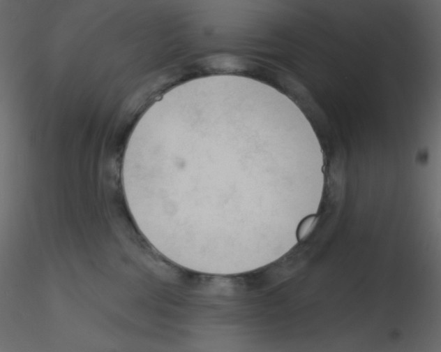 X0000115770330200912241755