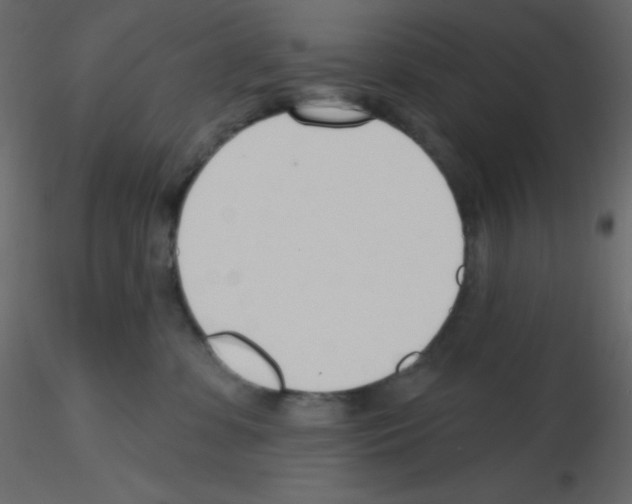 X0000115770331200912241755