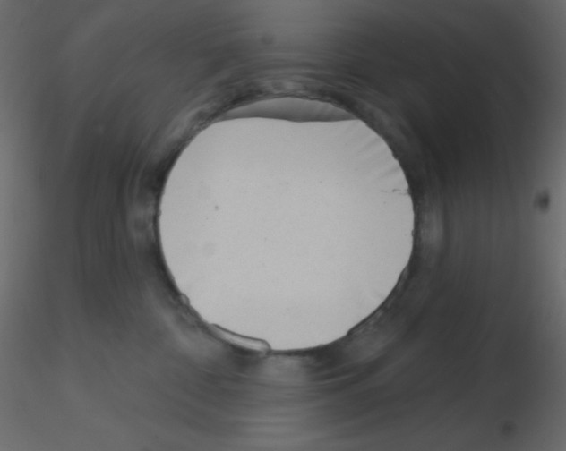 X0000115770332200912241755