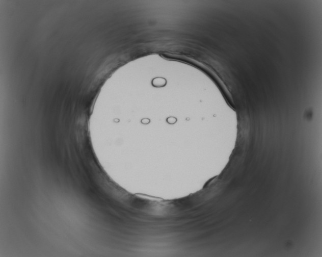 X0000115770333200912241755